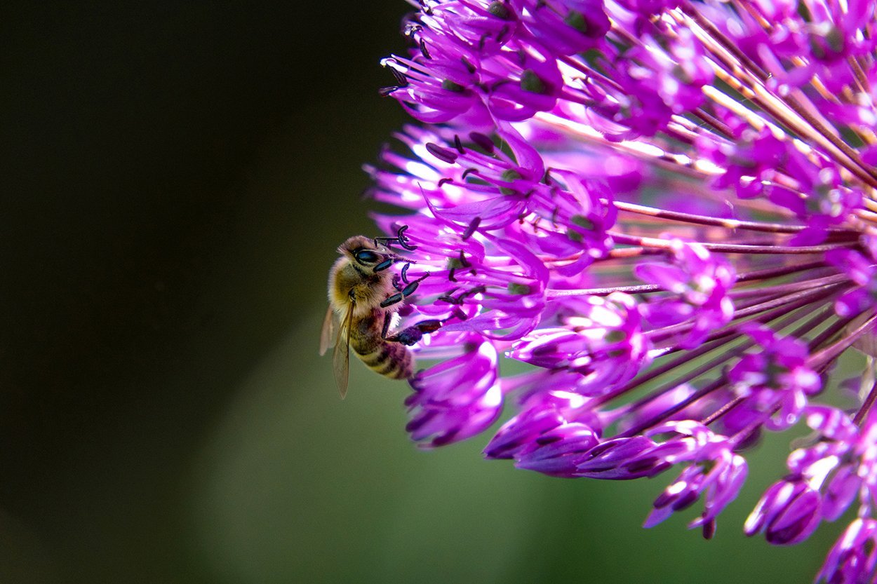 tamron 18-300mm özellikleri